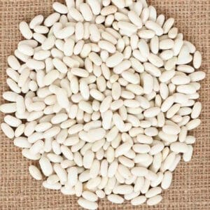 Climbing French bean KENTUCKY WONDER