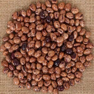 Climbing French bean PURPLE POLISH STRINGLESS