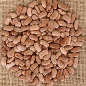 Climbing French bean PURPLE PRIZE