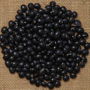 Climbing French bean SCHONE VON RICHIGEN