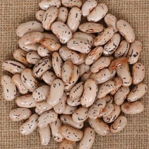 Runner bean ST. GEORGE