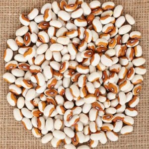 Dwarf French bean WIERINGE BOHNE